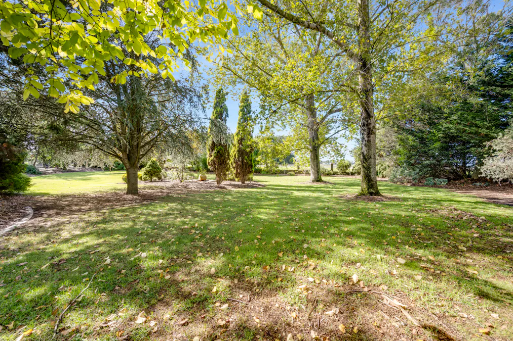21542 Riddoch Highway, Moorak, SA, 5291 - Image 31