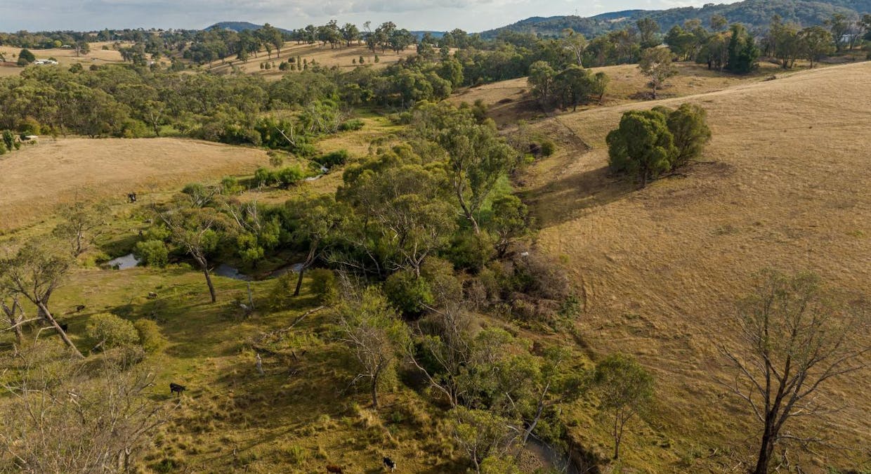 119 Cemetery Road, Tumbarumba, NSW, 2653 - Image 8