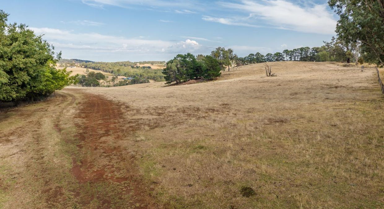 119 Cemetery Road, Tumbarumba, NSW, 2653 - Image 9