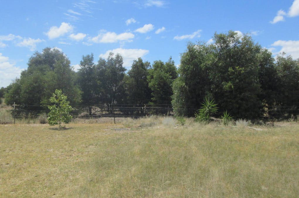 1 Payne Street, Tara, QLD, 4421 - Image 4