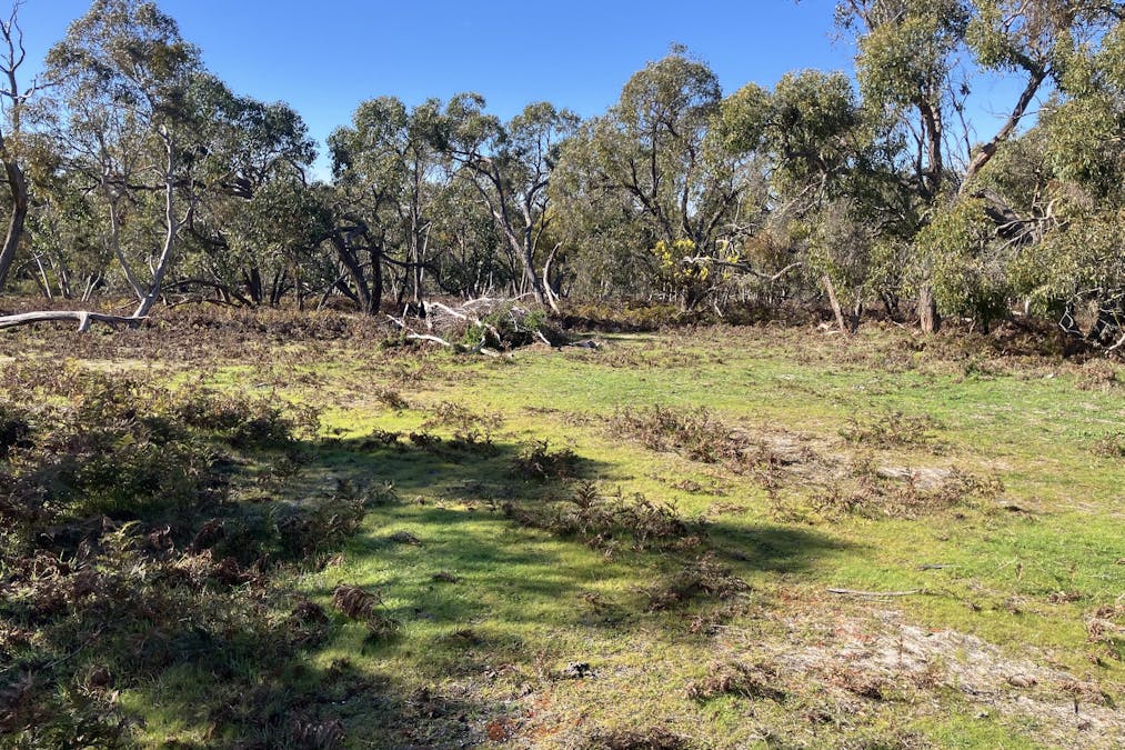 100 Repeater Station Road, Naracoorte, SA, 5271 - Image 4