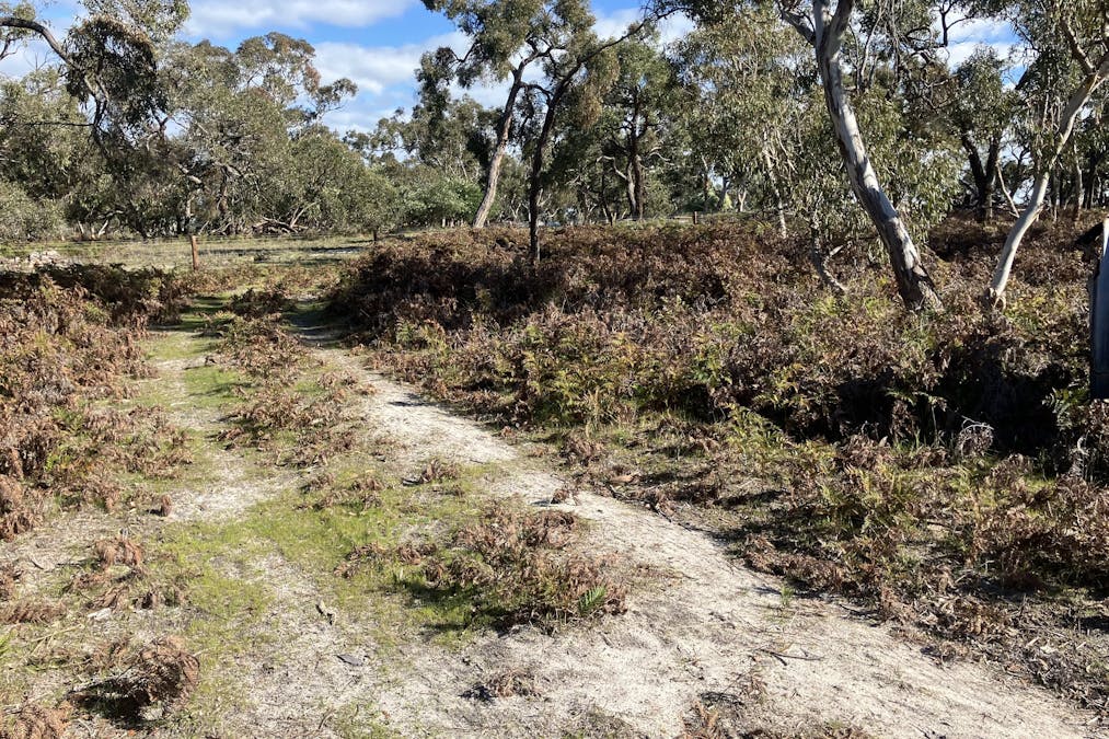 100 Repeater Station Road, Naracoorte, SA, 5271 - Image 6