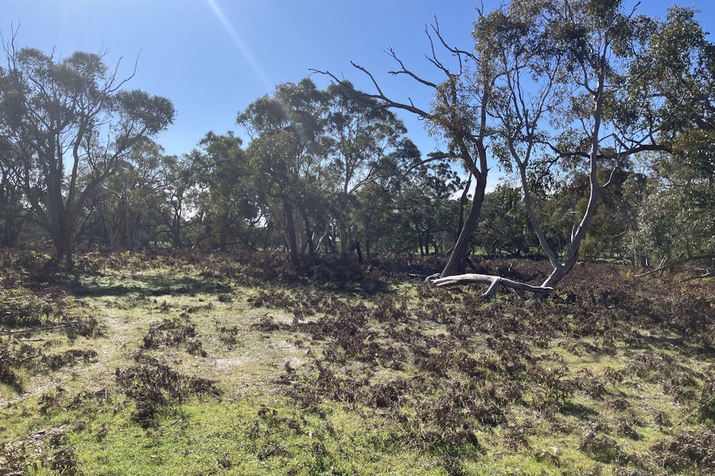 100 Repeater Station Road, Naracoorte, SA, 5271 - Image 7