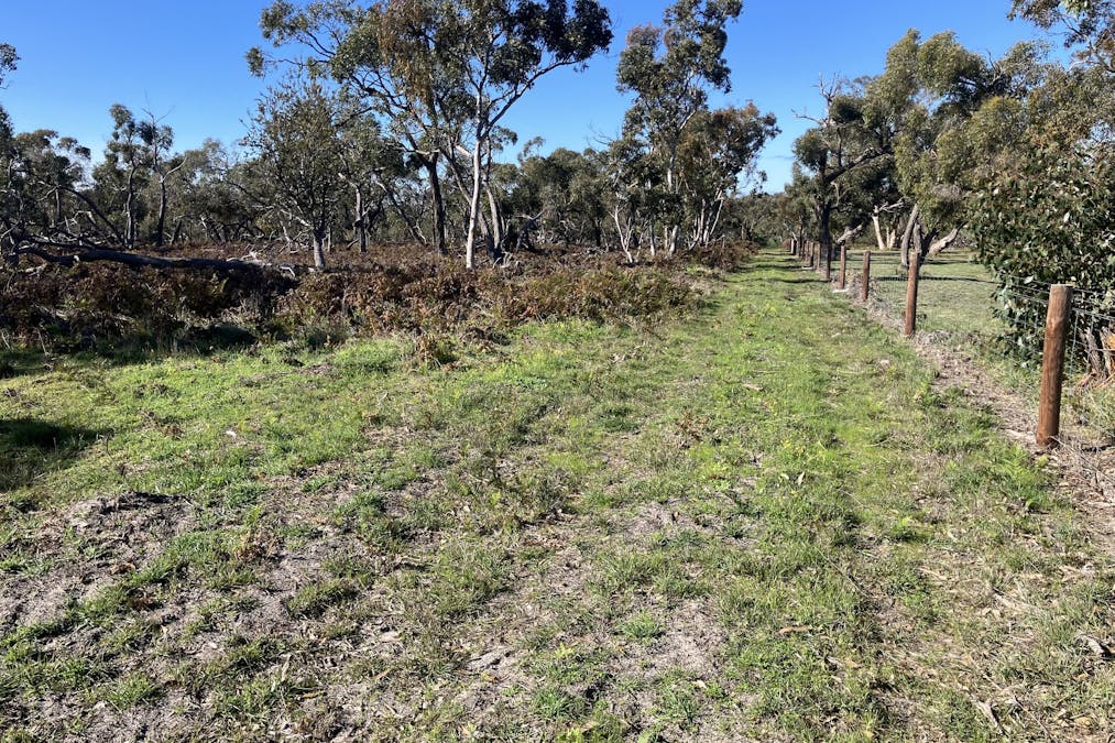 100 Repeater Station Road, Naracoorte, SA, 5271 - Image 8