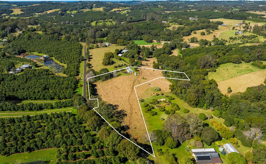 337 Humpty Back Road, Pearces Creek, NSW, 2477 - Image 5