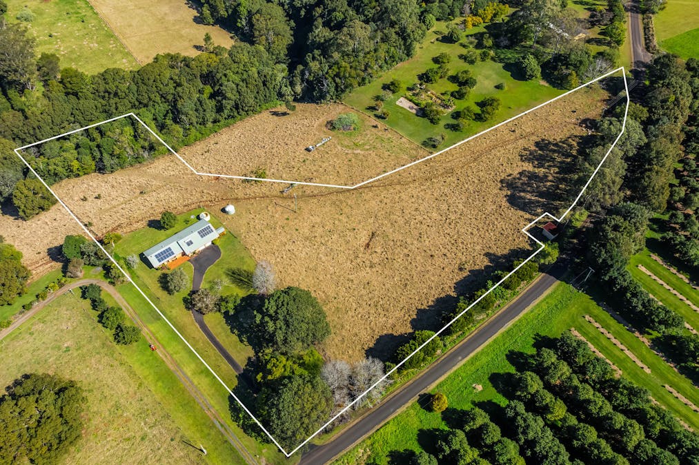 337 Humpty Back Road, Pearces Creek, NSW, 2477 - Image 3