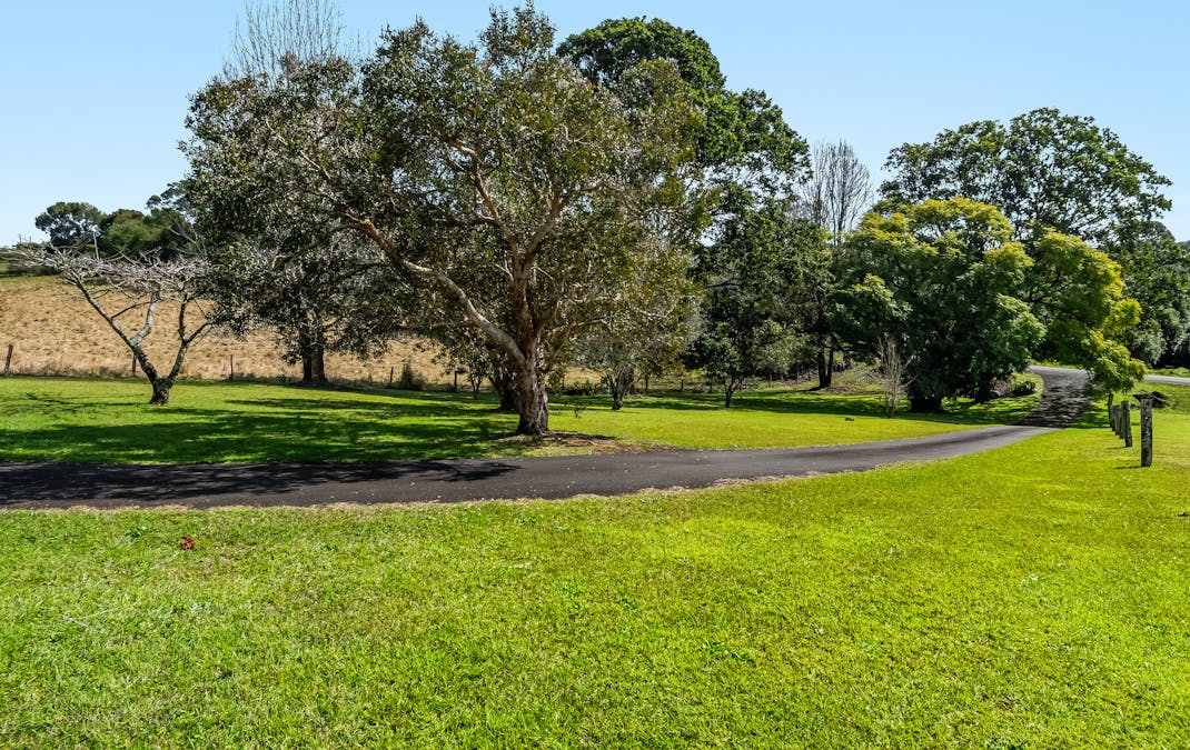 337 Humpty Back Road, Pearces Creek, NSW, 2477 - Image 17