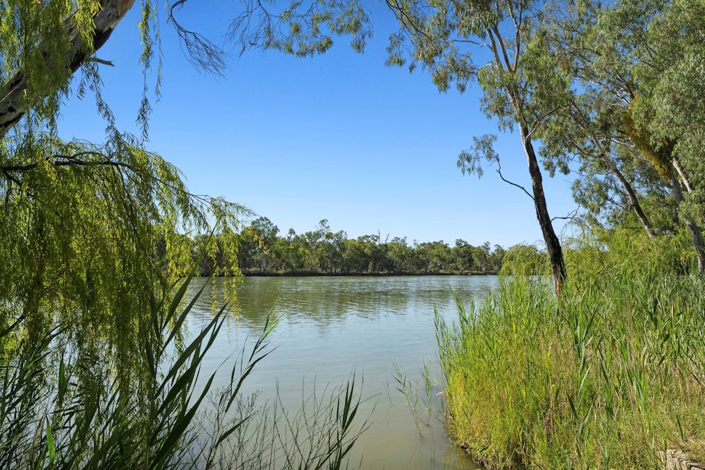 115 Schmidt Road, Paringa, SA, 5340 - Image 22