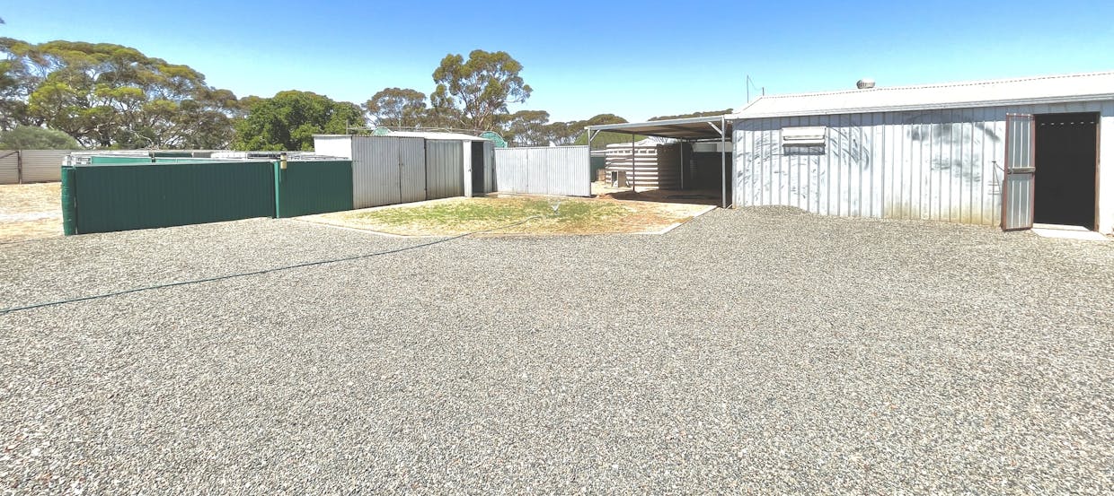 45 & 46 Willoughby Street, Yaninee, SA, 5653 - Image 2
