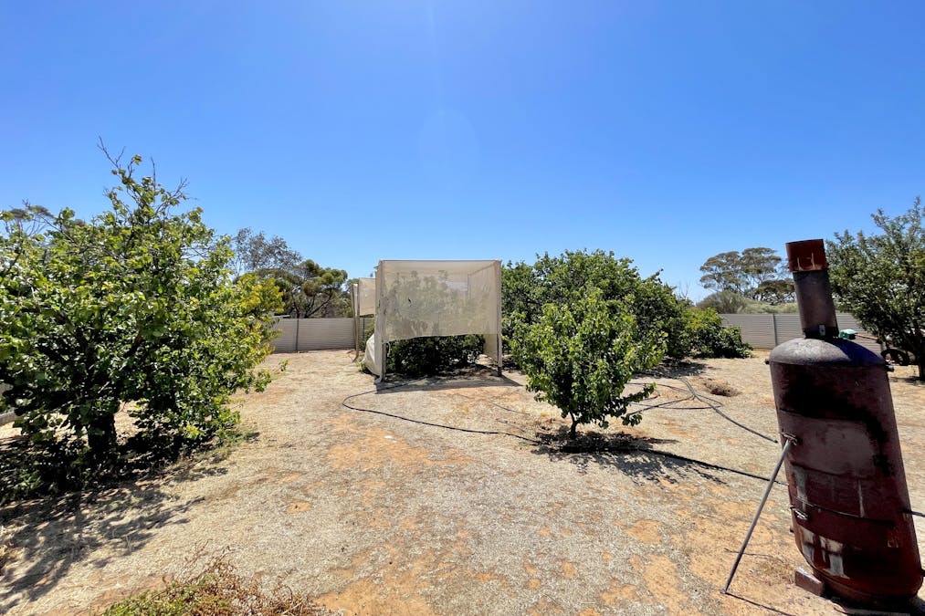 45 & 46 Willoughby Street, Yaninee, SA, 5653 - Image 29