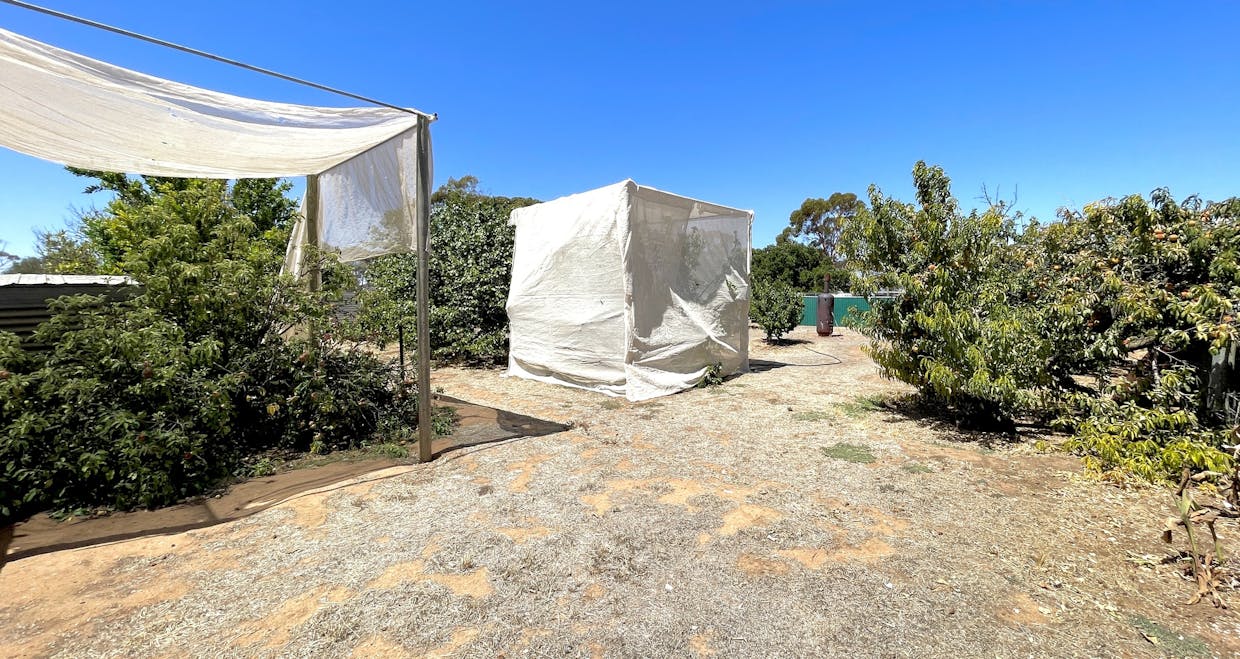 45 & 46 Willoughby Street, Yaninee, SA, 5653 - Image 30