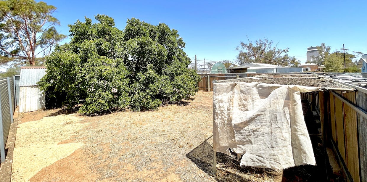 45 & 46 Willoughby Street, Yaninee, SA, 5653 - Image 33