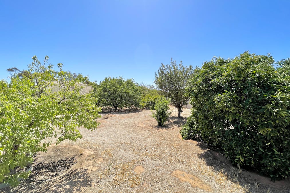 45 & 46 Willoughby Street, Yaninee, SA, 5653 - Image 31
