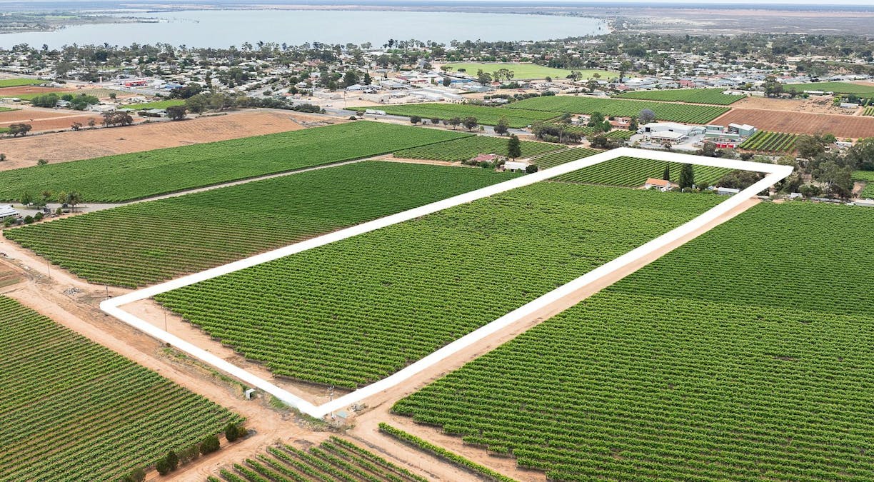 17574 Sturt Highway, Barmera, SA, 5345 - Image 11