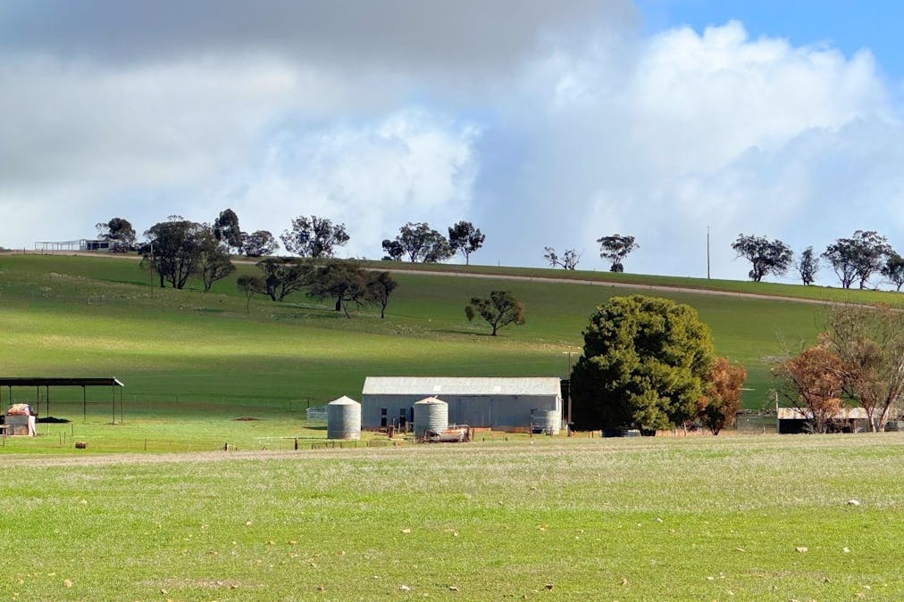 267 Mahood Road, Wirrabara, SA, 5481 - Image 8