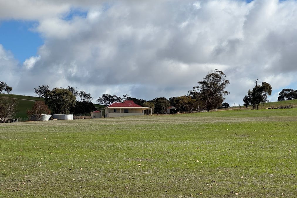 267 Mahood Road, Wirrabara, SA, 5481 - Image 5