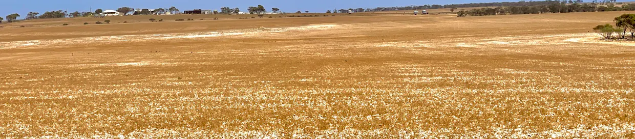 1266 OTC Road, Wandana, SA, 5690 - Image 21