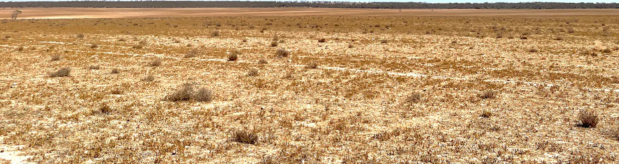 1266 OTC Road, Wandana, SA, 5690 - Image 7