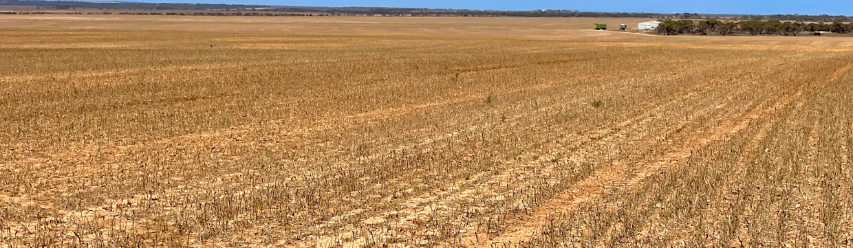 1266 OTC Road, Wandana, SA, 5690 - Image 20