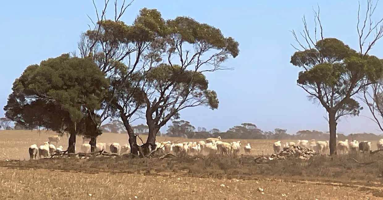 1266 OTC Road, Wandana, SA, 5690 - Image 27