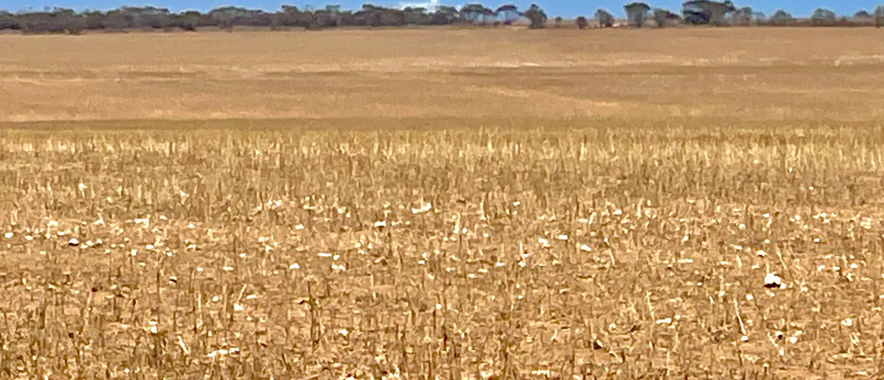 1266 OTC Road, Wandana, SA, 5690 - Image 25