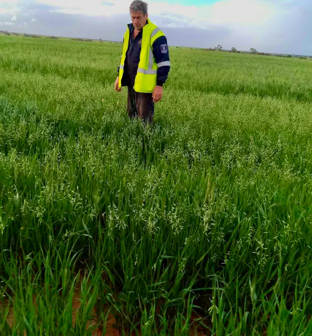 1266 OTC Road, Wandana, SA, 5690 - Image 28