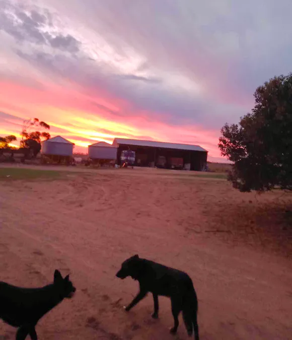 1266 OTC Road, Wandana, SA, 5690 - Image 4