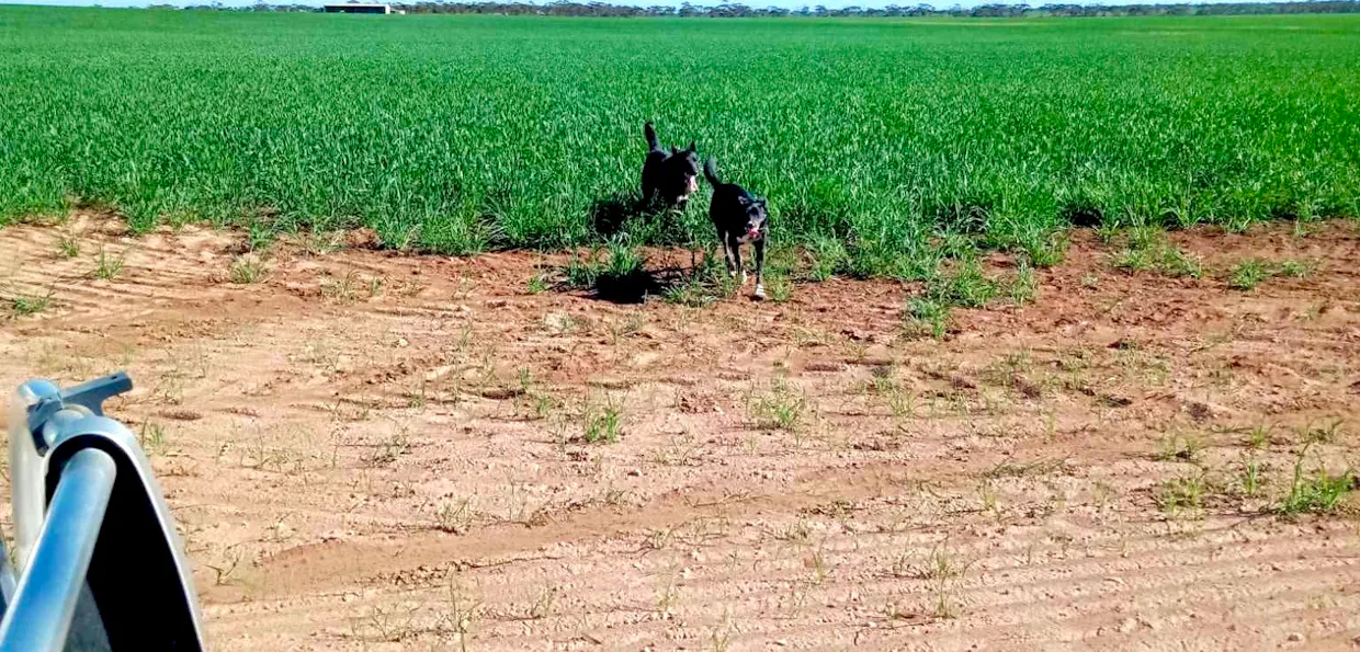 1266 OTC Road, Wandana, SA, 5690 - Image 33