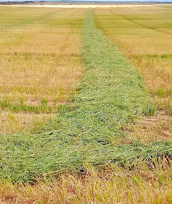 1266 OTC Road, Wandana, SA, 5690 - Image 30