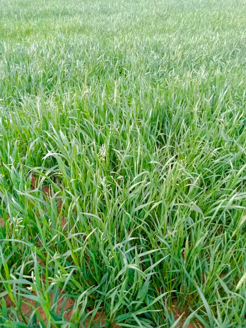 1266 OTC Road, Wandana, SA, 5690 - Image 32