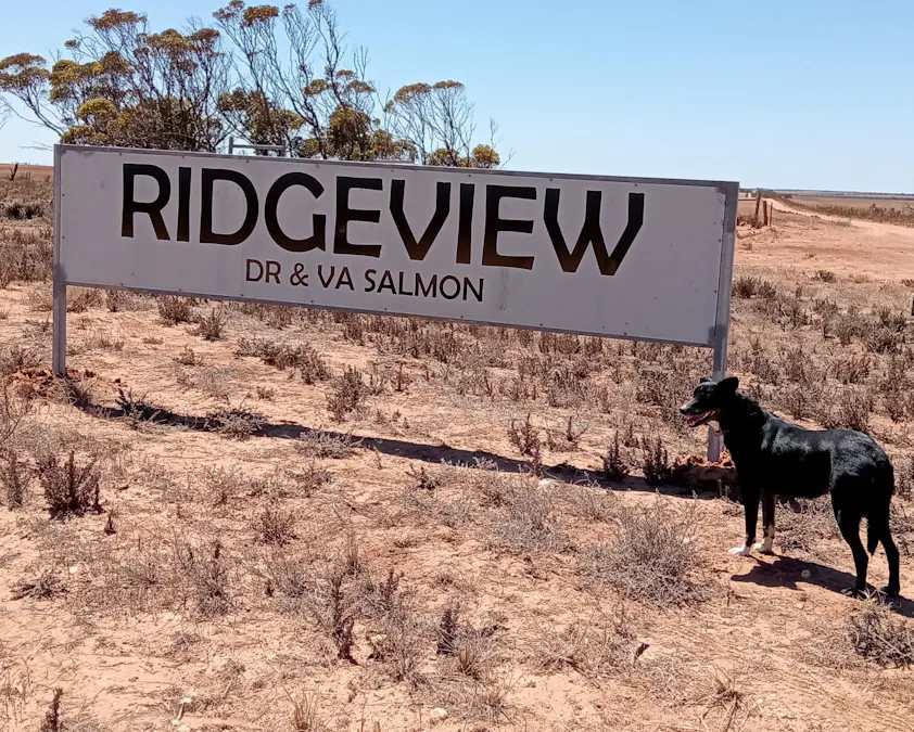 1266 OTC Road, Wandana, SA, 5690 - Image 1