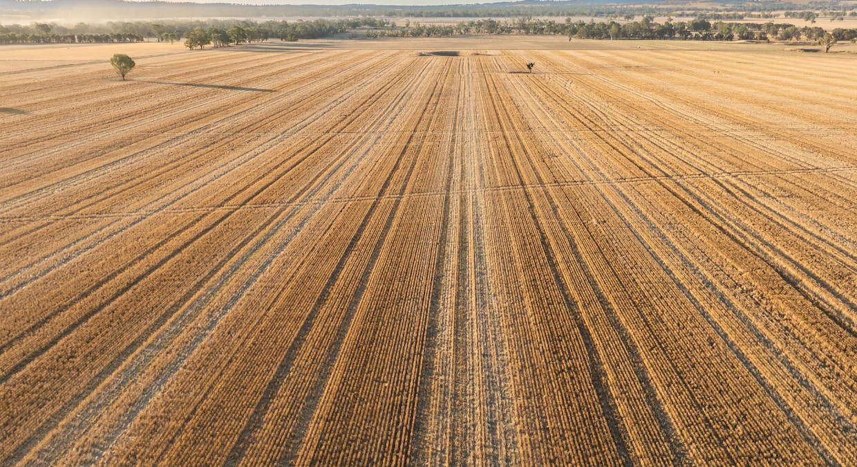 4/Nioka Road, Jindera, NSW, 2642 - Image 7