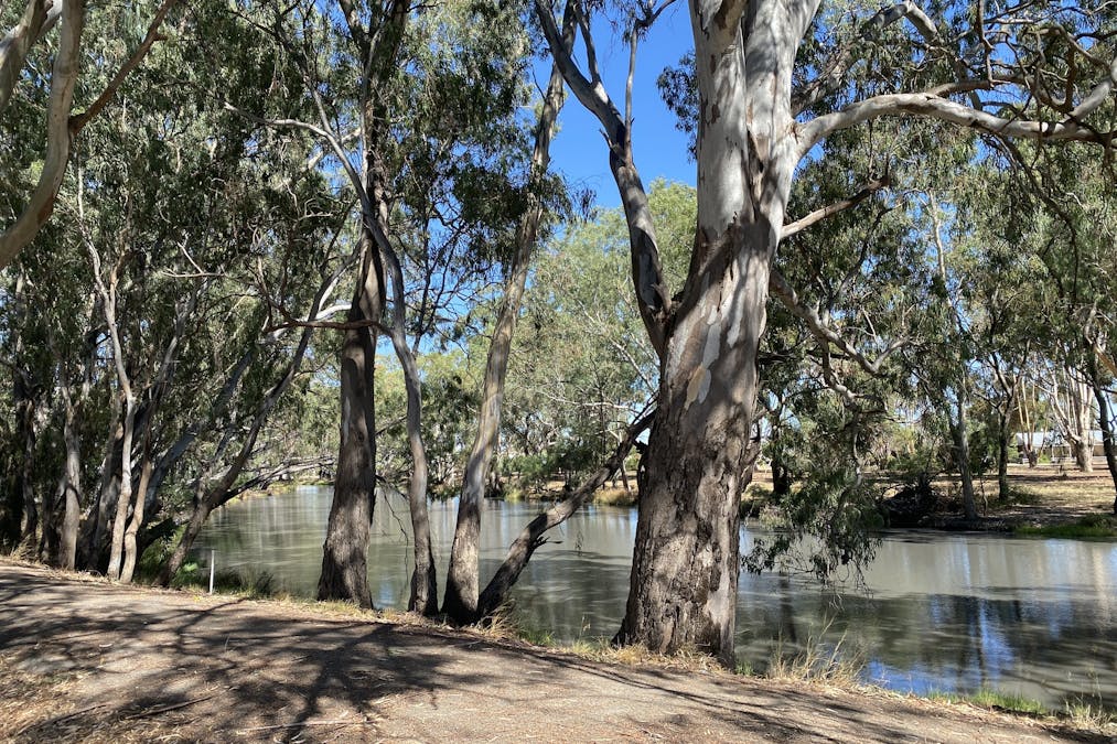 2 Fong Tong Avenue, Warracknabeal, VIC, 3393 - Image 23