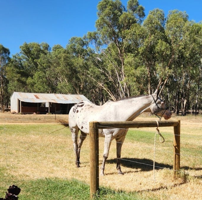 95 Creek Road, Numurkah, VIC, 3636 - Image 22