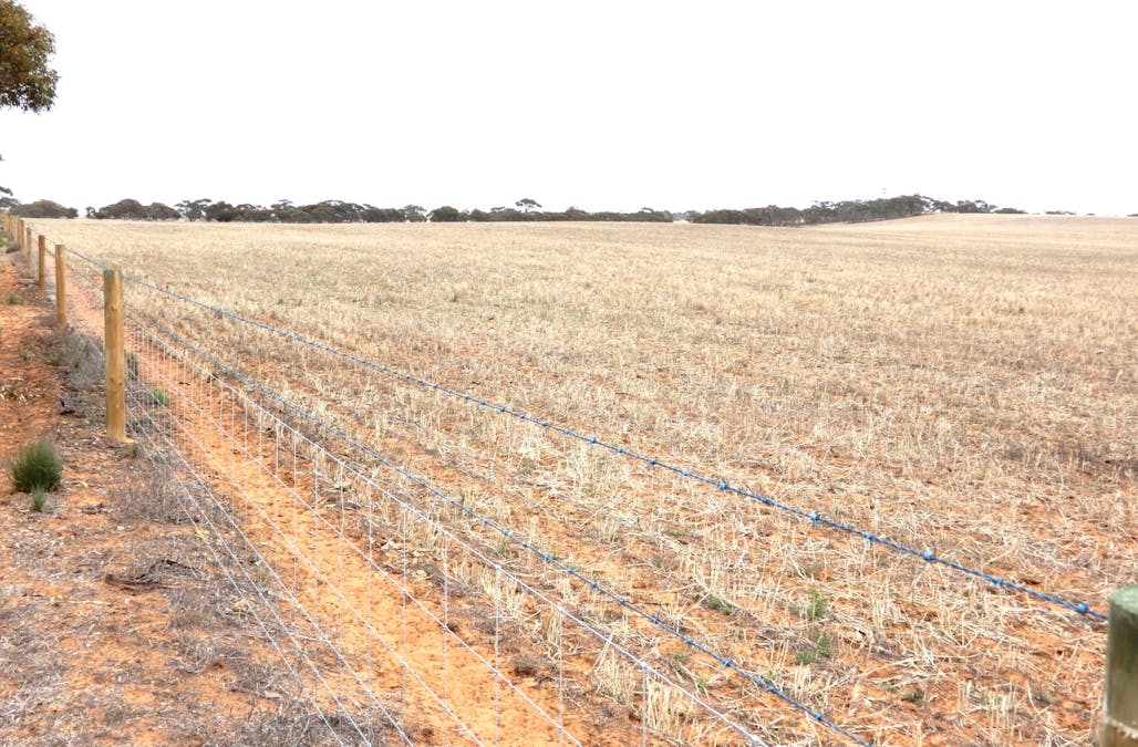 1481 Parrakie North Road, Lameroo, SA, 5302 - Image 9