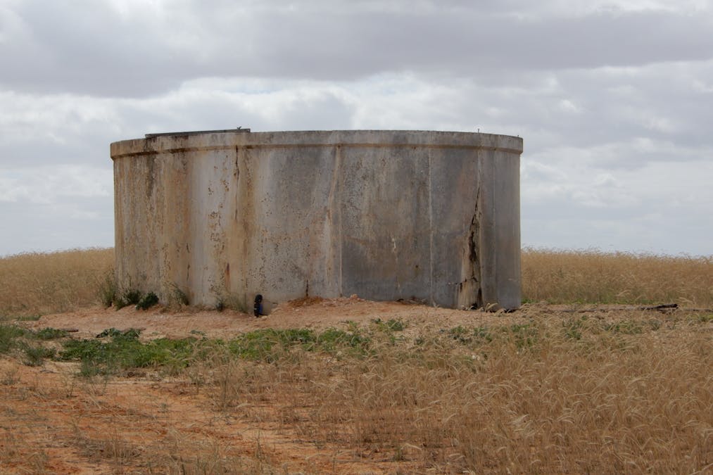 1481 Parrakie North Road, Lameroo, SA, 5302 - Image 15