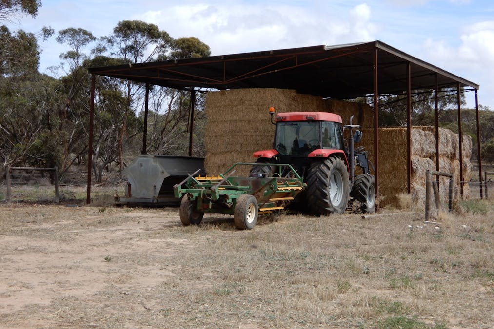 1481 Parrakie North Road, Lameroo, SA, 5302 - Image 20