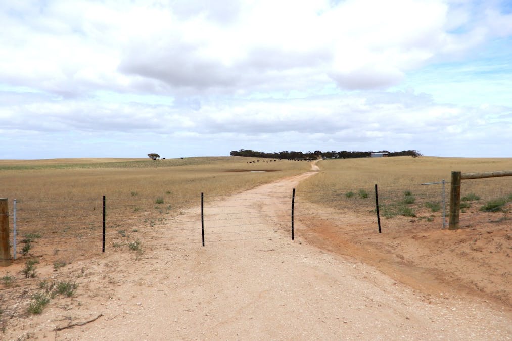1481 Parrakie North Road, Lameroo, SA, 5302 - Image 21