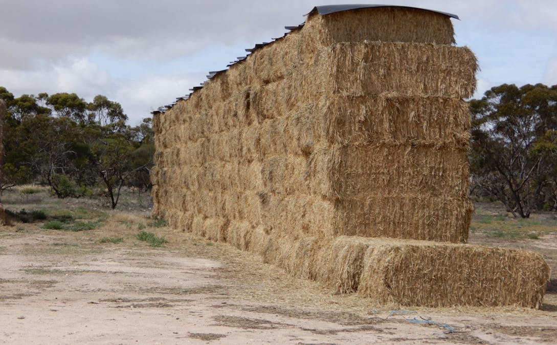 1481 Parrakie North Road, Lameroo, SA, 5302 - Image 23