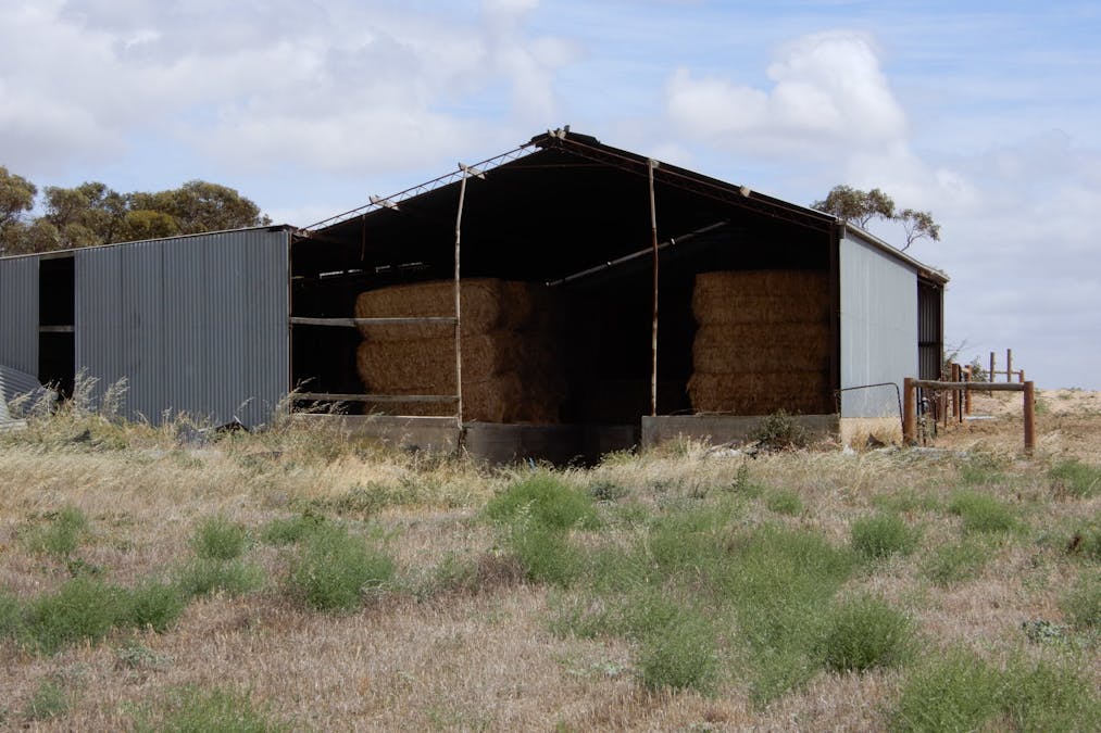 1481 Parrakie North Road, Lameroo, SA, 5302 - Image 24