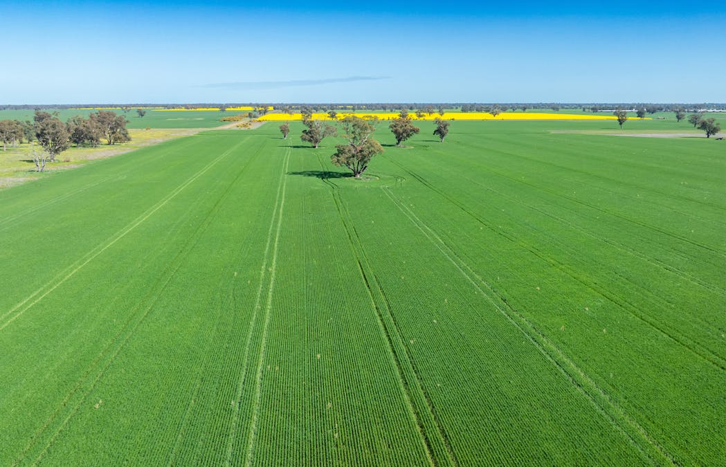 153 Balldale-Coreen Road, Corowa, NSW, 2646 - Image 2