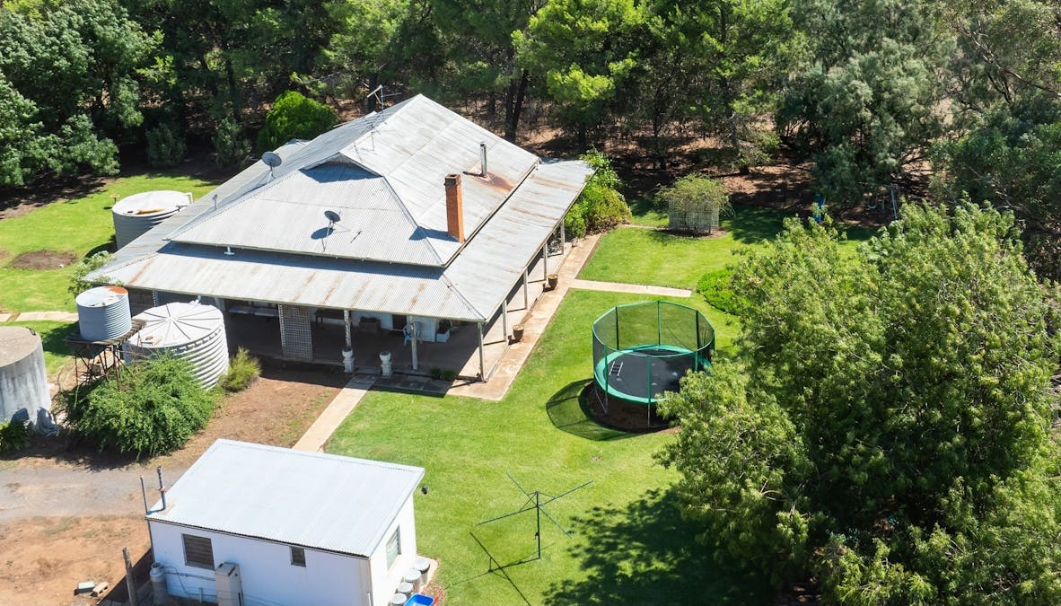 153 Balldale-Coreen Road, Corowa, NSW, 2646 - Image 10