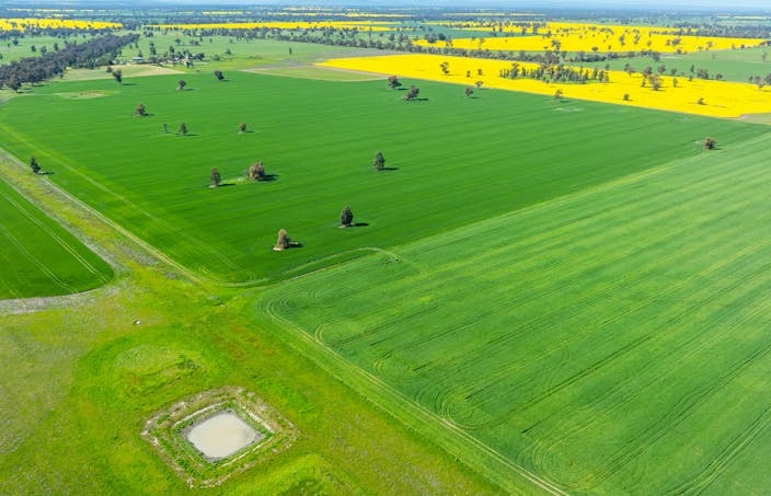 153 Balldale-Coreen Road, Corowa, NSW, 2646 - Image 1
