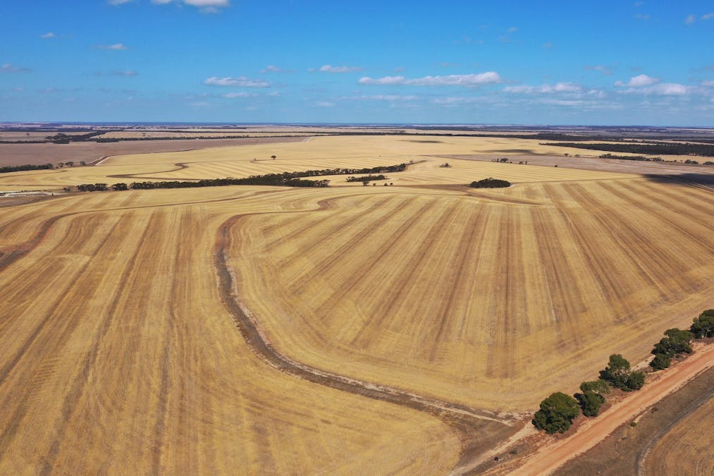 669 Neve Road, Pingrup, WA, 6343 - Image 2