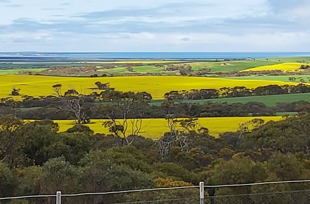 214 Foothills Road, Tumby Bay, SA, 5605 - Image 34