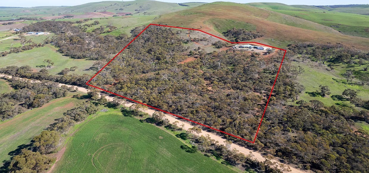 214 Foothills Road, Tumby Bay, SA, 5605 - Image 7
