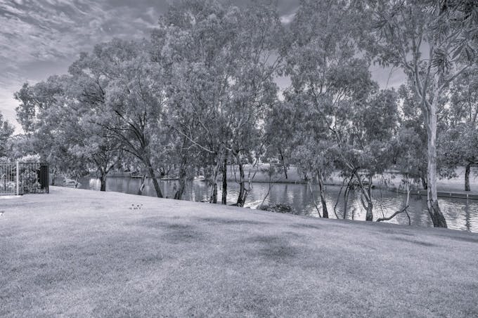 16 Palm Court, Renmark, SA, 5341 - Image 1