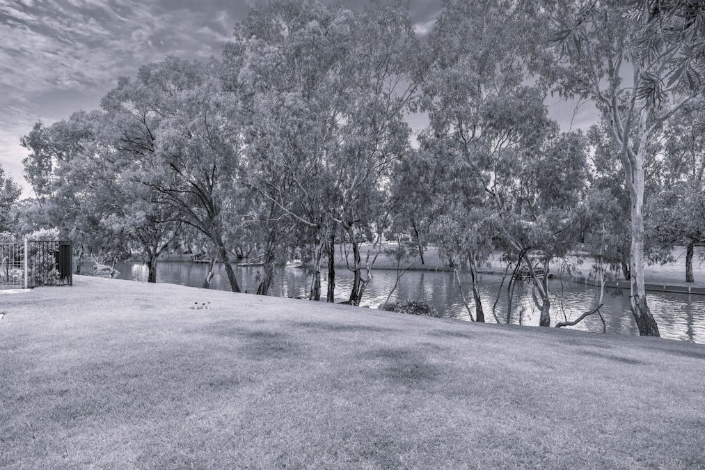 16 Palm Court, Renmark, SA, 5341 - Image 1