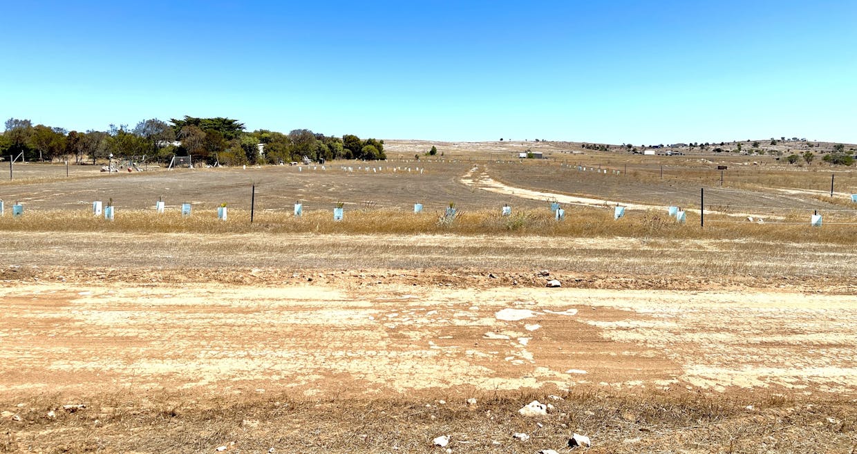 33 & 34/Second Street, Sheringa, SA, 5607 - Image 1