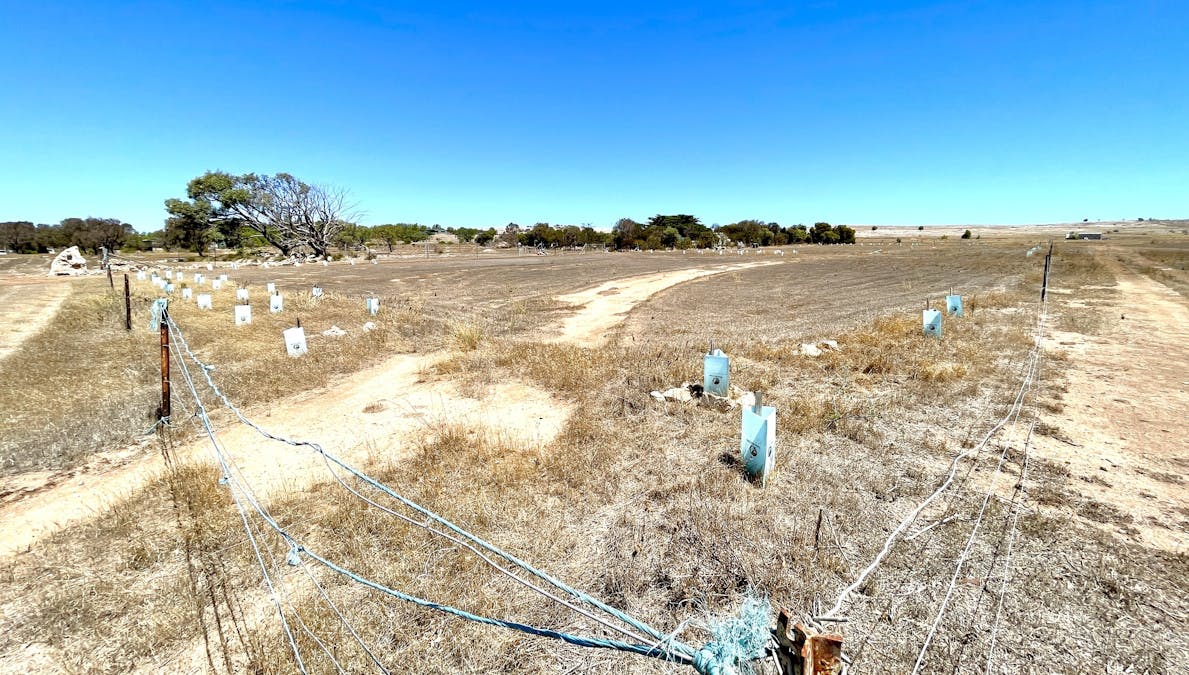 33 & 34/Second Street, Sheringa, SA, 5607 - Image 6